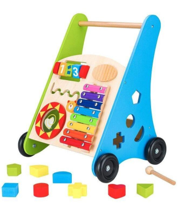 ECOTOYS edukativna drvena guralica za decu sorter sa ksilofonom - TL00011