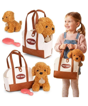ECOTOYS plišana kuca Brown Poodle igračka za decu torba + četka za negu HC750227