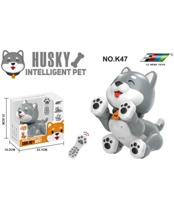 HK Mini pametan pas sa daljinskim A102992