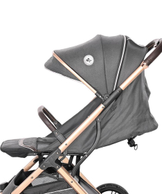 Lorelli Bertoni Storm set kolica za bebe 2 u 1 Luxe Black