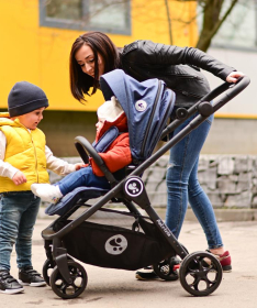Lorelli Bertoni Patrizia kolica za bebe sa nosiljkom 2 u 1 Dark Grey