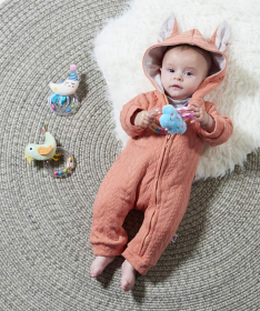 Taf Toys zvečka za bebe Cheerful Cloud - 22114017