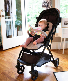 Ingenuity mekana knjiga za bebe Deni Raccoon SKU16876