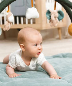 Nattou gimnastika za dečake Axel and Luna - A060818