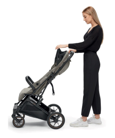 Inglesina Maior kolica za bebe do 22 kg Igloo Grey