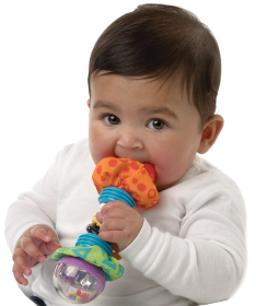 Playgro Aktiviti zvečka igračka za bebe - 1037837