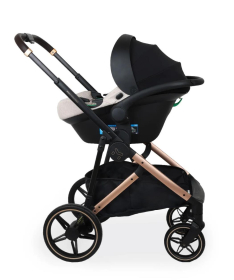 Jungle Motto Deluxe kolica za bebe 3 u 1 sa zlatnim ramom Beige