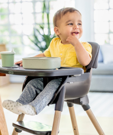 Graco Presti hranilica za decu do 27 kg Steeple grey