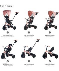 QPlay Elite Platinum tricikl za decu do 25 kg Rose