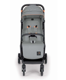 Cam Oliver kolica za bebe do 22 kg Grey 824.210