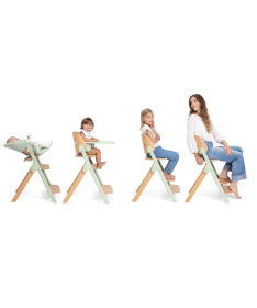 Chicco Meraviglia hranilica za bebe 3 u 1 do 110 kg Olive