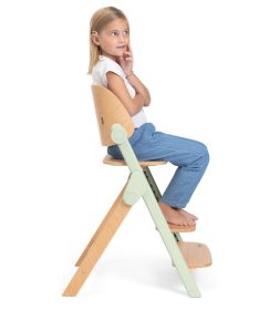 Chicco Meraviglia hranilica za bebe 3 u 1 do 110 kg Fossil