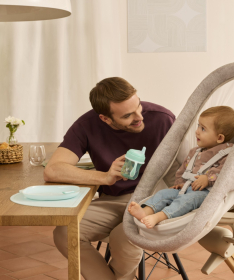 Chicco Baby Hug Armonia multifunkcionalna kolevka&stolica 4 u 1 Scandinavian