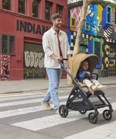 Inglesina Electa 3 u 1 kolica za bebe sa Darwin Infant auto sedištem - Garage Grey
