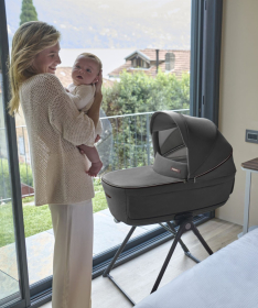 Inglesina kolica za bebe 3u1 Aptica Darwin Vicuna Beige