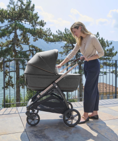 Inglesina kolica za bebe 3u1 Aptica Darwin Vicuna Beige