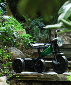 QPlay Triduro tricikl za decu do 25 kg Green