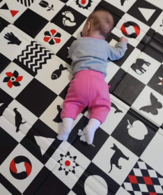 IQ sklopiva podloga za bebe lica Kontrasti i Savana 120x120x1 cm