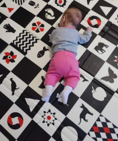 IQ sklopiva podloga za bebe lica Kontrasti i Savana 120x120x1 cm