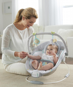 Ingenuity Ležaljka za bebe Cradling Bouncer - Morrison SKU11203_5
