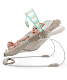 Ingenuity Ležaljka za bebe Cradling Bouncer - Sampson SKU10269_6