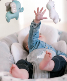 Ingenuity ležaljka za bebe Smart Automatic Bouncer - Chadwick Sku12320