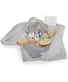 Cangaroo poklon set za bebe 6u1 Bearli – Grey