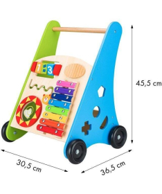 ECOTOYS edukativna drvena guralica za decu sorter sa ksilofonom - TL00011