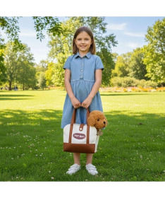 ECOTOYS plišana kuca Brown Poodle igračka za decu torba + četka za negu HC750227