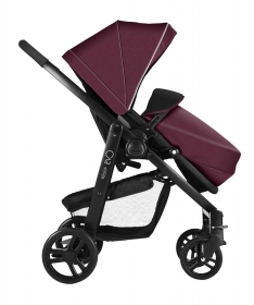 Graco kolica Evo Plum ljubicasta
