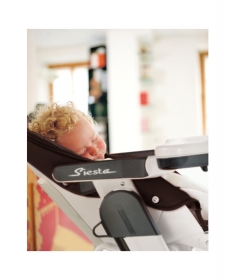 Peg Perego hranilica za bebe (stolica za hranjenje) Siesta Berry