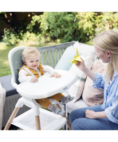 Joie Chestnut hranilica za decu do 6 godina - Mist