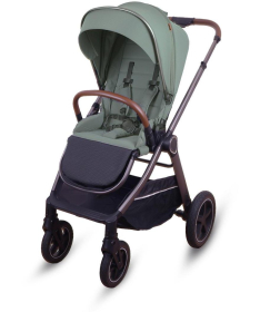 Jungle Cruze 2 kolica za bebe 2 u 1 Green