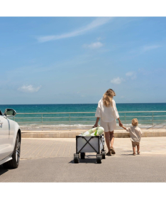 Kinderkraft sklopiva kolica za putovanja Rollster Anthracite