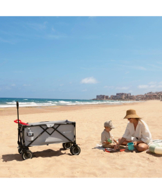 Kinderkraft sklopiva kolica za putovanja Rollster Anthracite