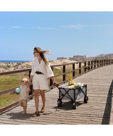 Kinderkraft sklopiva kolica za putovanja Rollster Anthracite