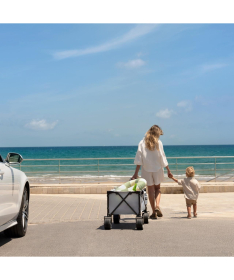 Kinderkraft sklopiva kolica za putovanja Rollster Mystic Black