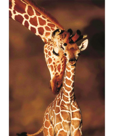 KS Puzzle 100 delova Animal Planet žirafa - 32543