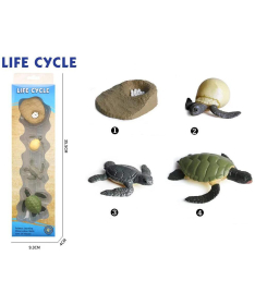 Life Cycle Životni ciklus kornjače set od 4 dela - 34649