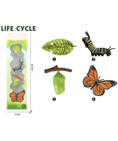 Life Cycle Životni ciklus leptira set od 4 dela - 34648