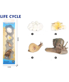 Life Cycle Životni ciklus puža set od 4 dela - 34656