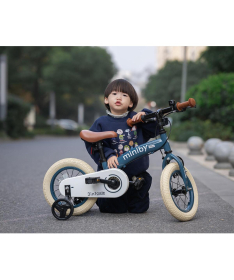 Qplay Miniby 12inch 3 u 1 bicikl za decu do 20 kg Blue - 41312184