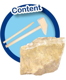 Ses Iskopaj T-Rex-a kreativna igračka za dečake - 18601