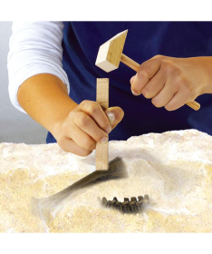 Ses Iskopaj T-Rex-a kreativna igračka za dečake - 18601