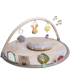 Taf Toys bebi podloga za igru bebe Time Activity Gym 22114096