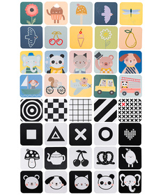 Taf Toys edukativne kartice za bebe My 1st Discoveries Flash Cards 40 komada 22114157
