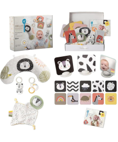 Taf Toys poklon set za novorođenče 12 elemenata 22114109