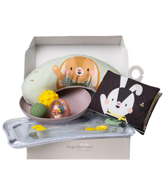 Taf Toys poklon set za novorođenče 7 elemenata 22114119