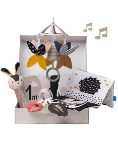 Taf Toys poklon set za novorođenče Black&White 10 elemenata 22114121