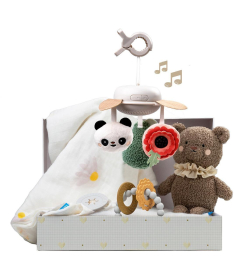 Taf Toys poklon set za novorođenče 22114123